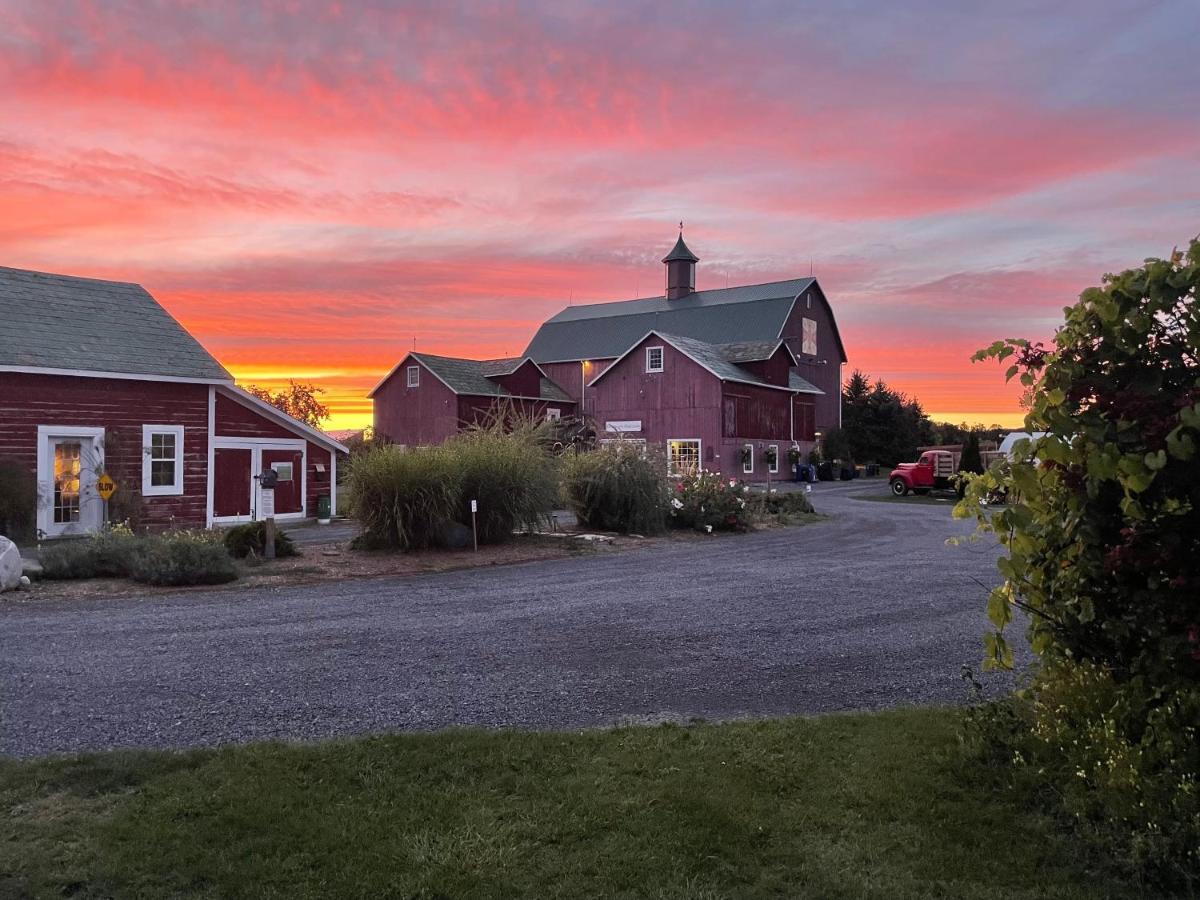 The Eddie Hotel And Farm Bloomfield Luaran gambar