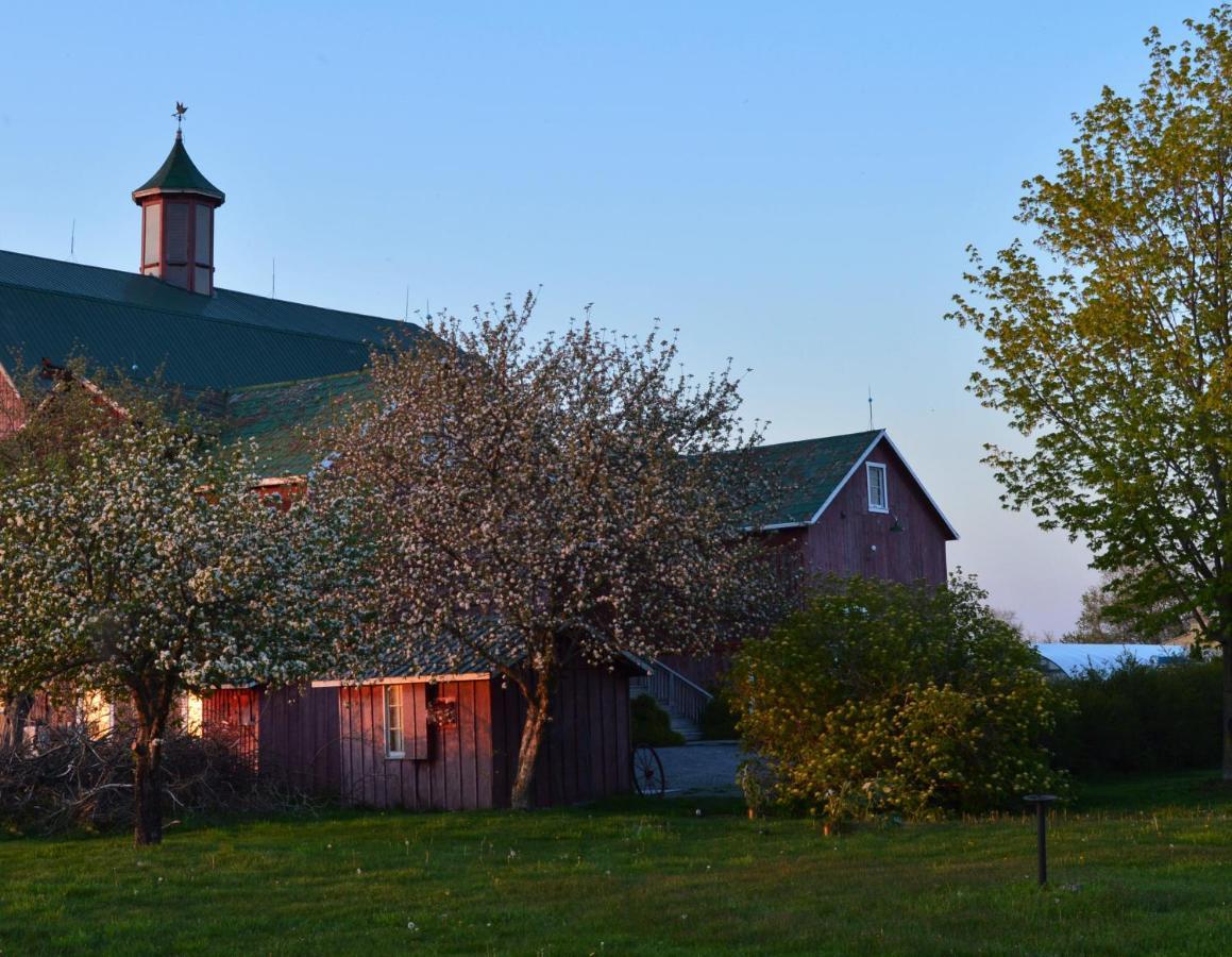 The Eddie Hotel And Farm Bloomfield Luaran gambar